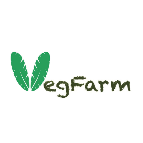 VegFarm 無國界蔬食餐廳